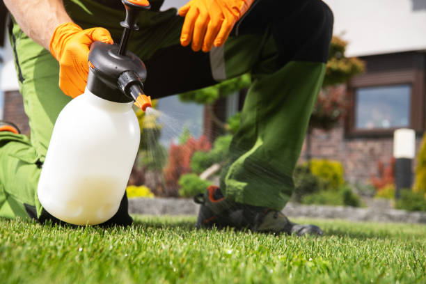 Best Best Pest Control Companies  in Helmetta, NJ